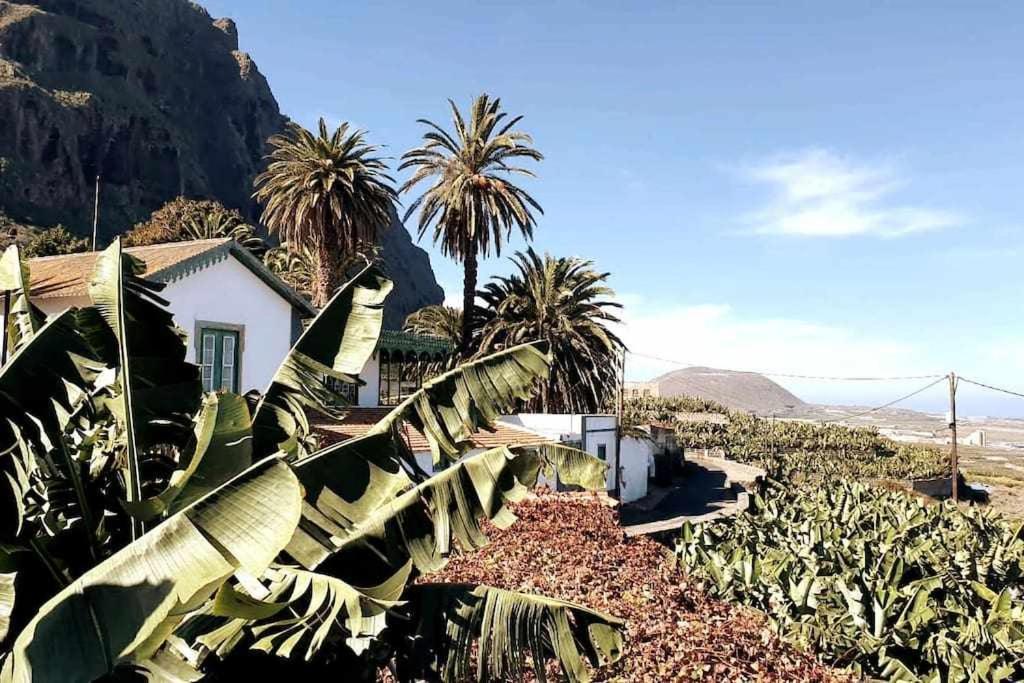 לוס סילוס Finca Interian מראה חיצוני תמונה